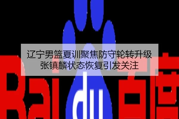 辽宁男篮夏训聚焦防守轮转升级 张镇麟状态恢复引发关注